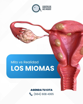 Slider image (4) Baja Fertility Services - IVF Clinic Tijuana Mexico